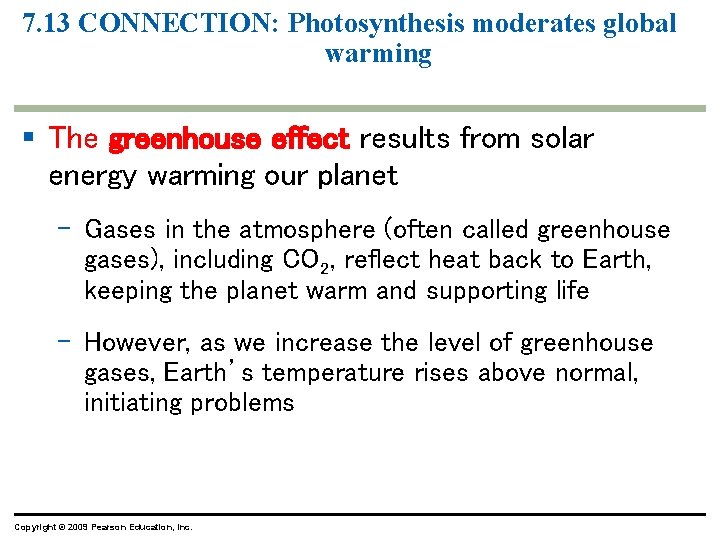 7. 13 CONNECTION: Photosynthesis moderates global warming § The greenhouse effect results from solar