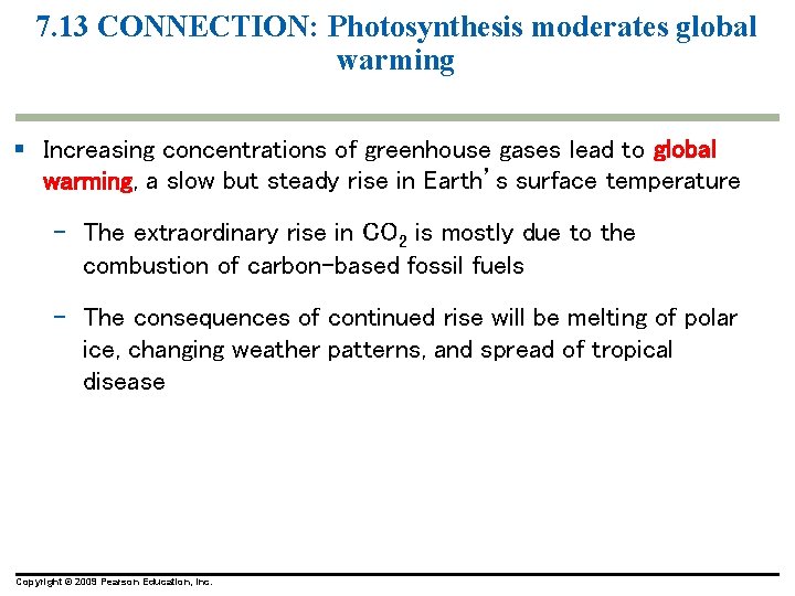 7. 13 CONNECTION: Photosynthesis moderates global warming § Increasing concentrations of greenhouse gases lead