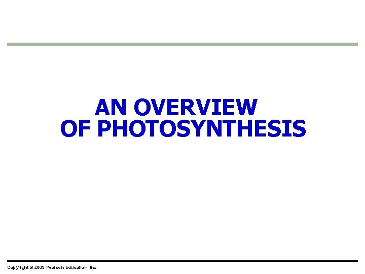 AN OVERVIEW OF PHOTOSYNTHESIS Copyright © 2009 Pearson Education, Inc. 