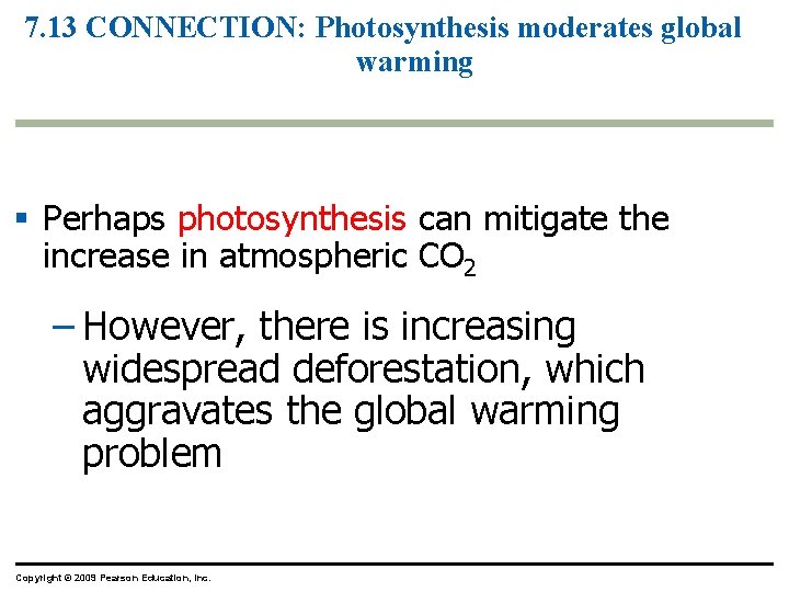 7. 13 CONNECTION: Photosynthesis moderates global warming § Perhaps photosynthesis can mitigate the increase