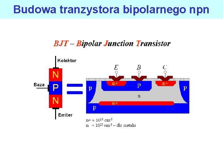 Budowa tranzystora bipolarnego npn 