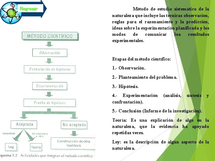 Regresar Método de estudio sistemático de la naturaleza que incluye las técnicas observación, reglas