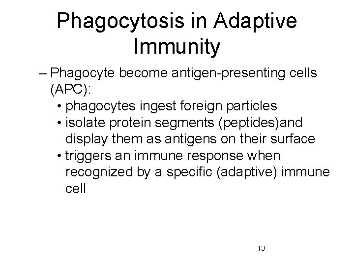 Phagocytosis in Adaptive Immunity – Phagocyte become antigen-presenting cells (APC): • phagocytes ingest foreign