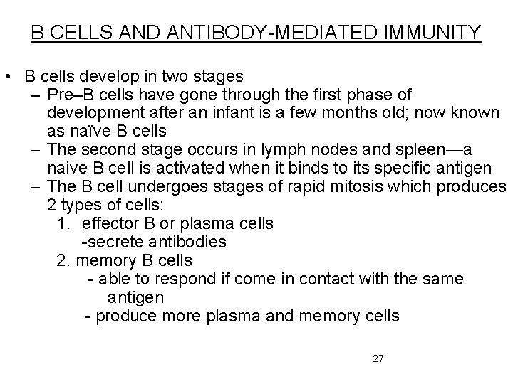 B CELLS AND ANTIBODY-MEDIATED IMMUNITY • B cells develop in two stages – Pre–B