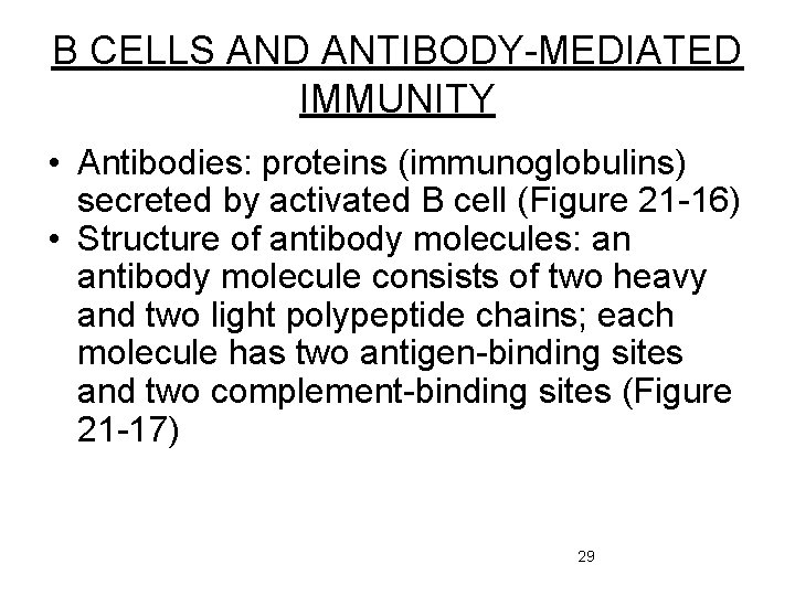B CELLS AND ANTIBODY-MEDIATED IMMUNITY • Antibodies: proteins (immunoglobulins) secreted by activated B cell