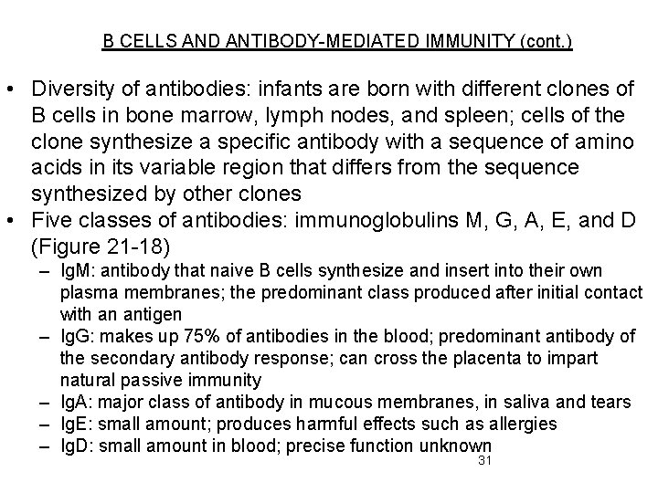 B CELLS AND ANTIBODY-MEDIATED IMMUNITY (cont. ) • Diversity of antibodies: infants are born