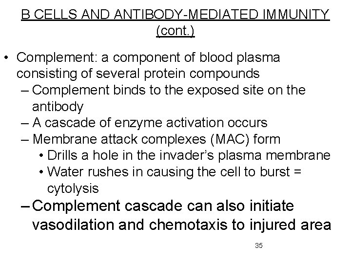 B CELLS AND ANTIBODY-MEDIATED IMMUNITY (cont. ) • Complement: a component of blood plasma