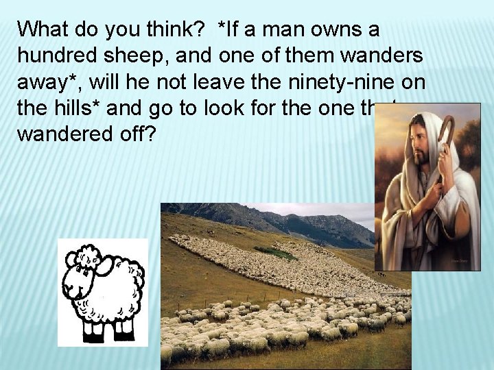 What do you think? *If a man owns a hundred sheep, and one of What do you think? *If a man owns a hundred sheep, and one of