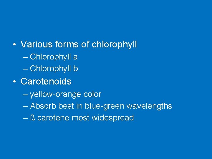  • Various forms of chlorophyll – Chlorophyll a – Chlorophyll b • Carotenoids