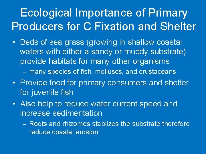 Ecological Importance of Primary Producers for C Fixation and Shelter • Beds of sea