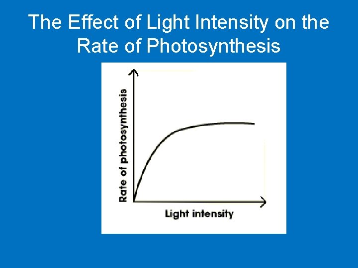 The Effect of Light Intensity on the Rate of Photosynthesis 