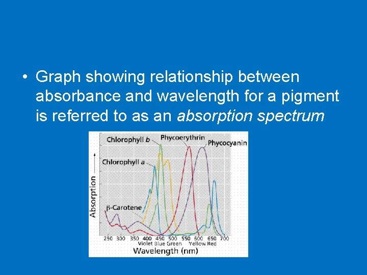  • Graph showing relationship between absorbance and wavelength for a pigment is referred