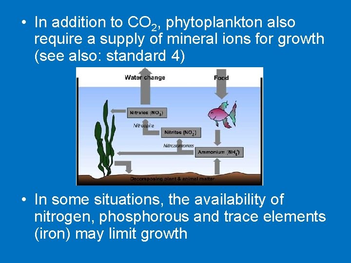  • In addition to CO 2, phytoplankton also require a supply of mineral