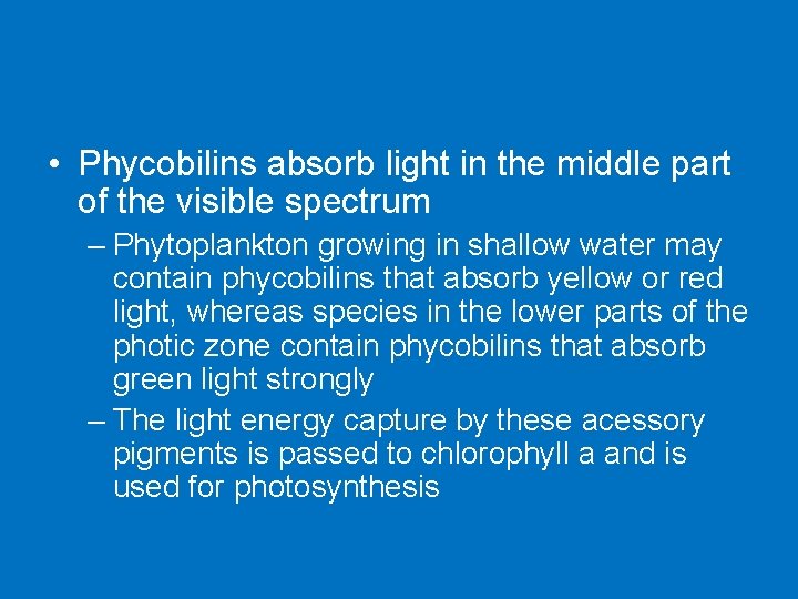  • Phycobilins absorb light in the middle part of the visible spectrum –