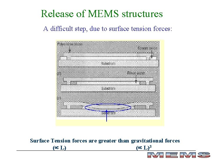 Release of MEMS structures A difficult step, due to surface tension forces: Surface Tension