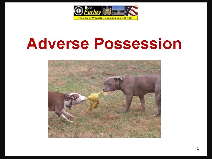 Adverse Possession 5 Adverse Possession 5