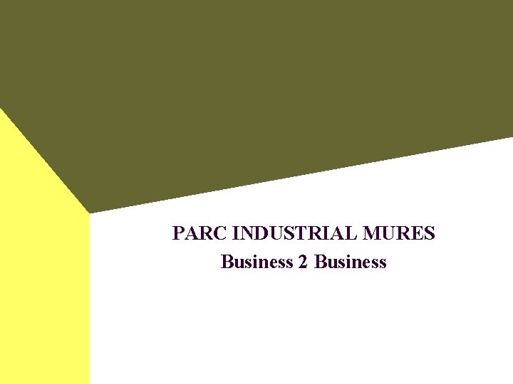 PARC INDUSTRIAL MURES Business 2 Business 