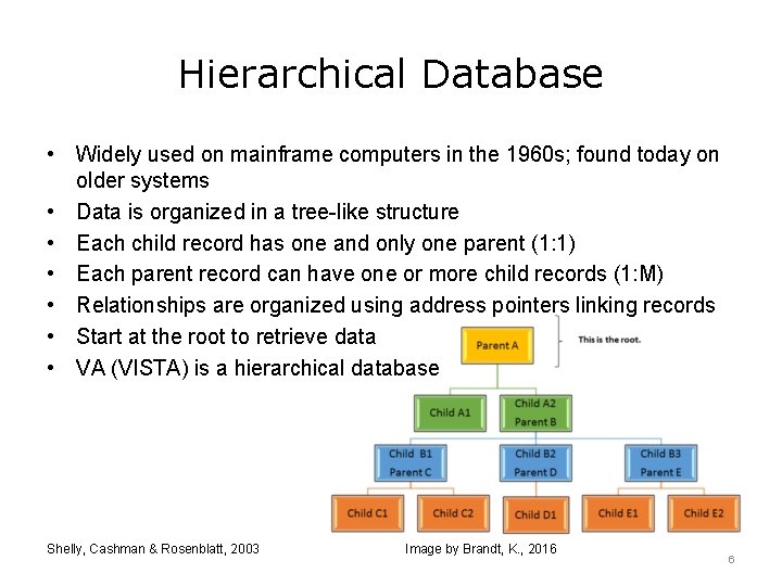 Hierarchical Database • Widely used on mainframe computers in the 1960 s; found today