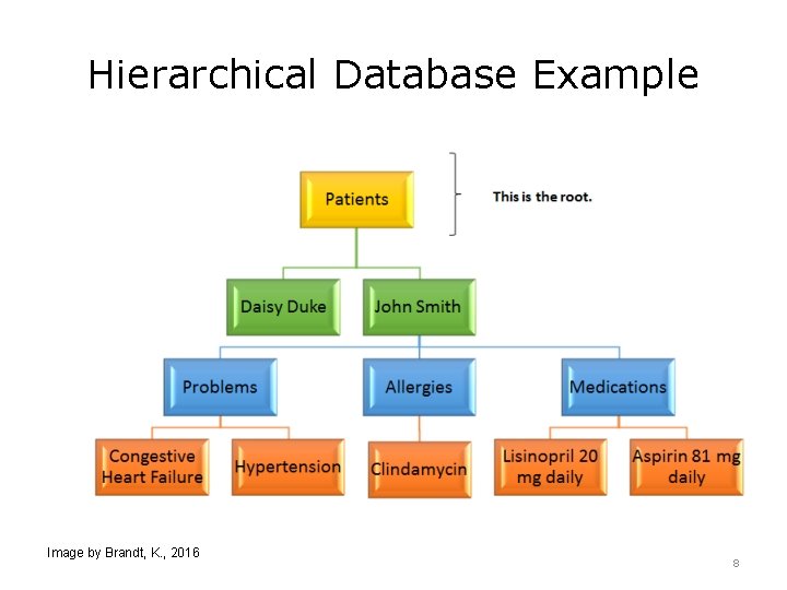 Hierarchical Database Example Image by Brandt, K. , 2016 8 