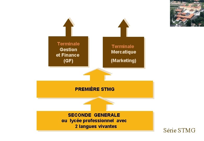 Terminale Gestion et Finance (GF) Terminale Mercatique (Marketing) PREMIÈRE STMG SECONDE GENERALE ou lycée