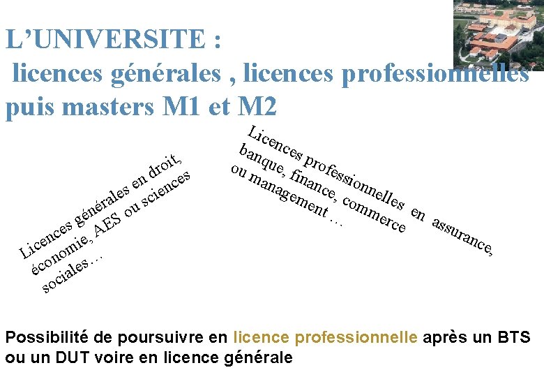 L’UNIVERSITE : licences générales , licences professionnelles puis masters M 1 et M 2