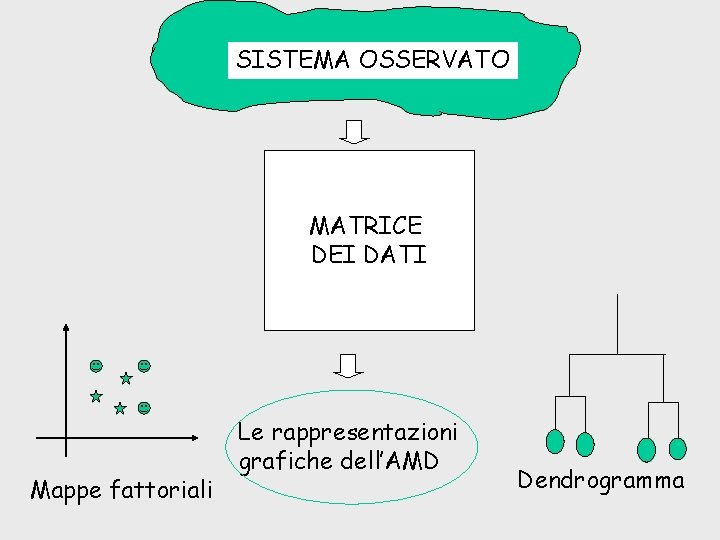 SISTEMA OSSERVATO MATRICE DEI DATI Mappe fattoriali Le rappresentazioni grafiche dell’AMD Dendrogramma 