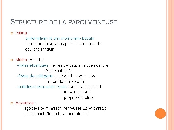 STRUCTURE DE LA PAROI VEINEUSE Intima : endothélium et une membrane basale formation de