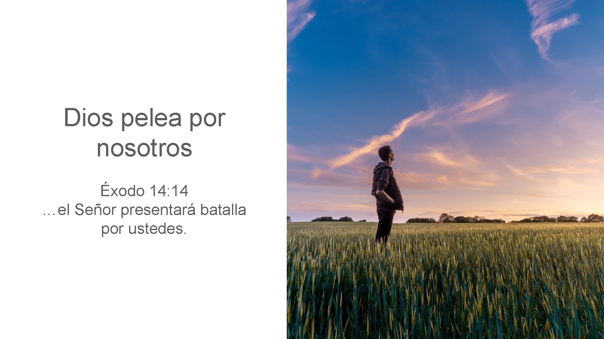 Dios pelea por nosotros Éxodo 14: 14 …el Señor presentará batalla por ustedes. 