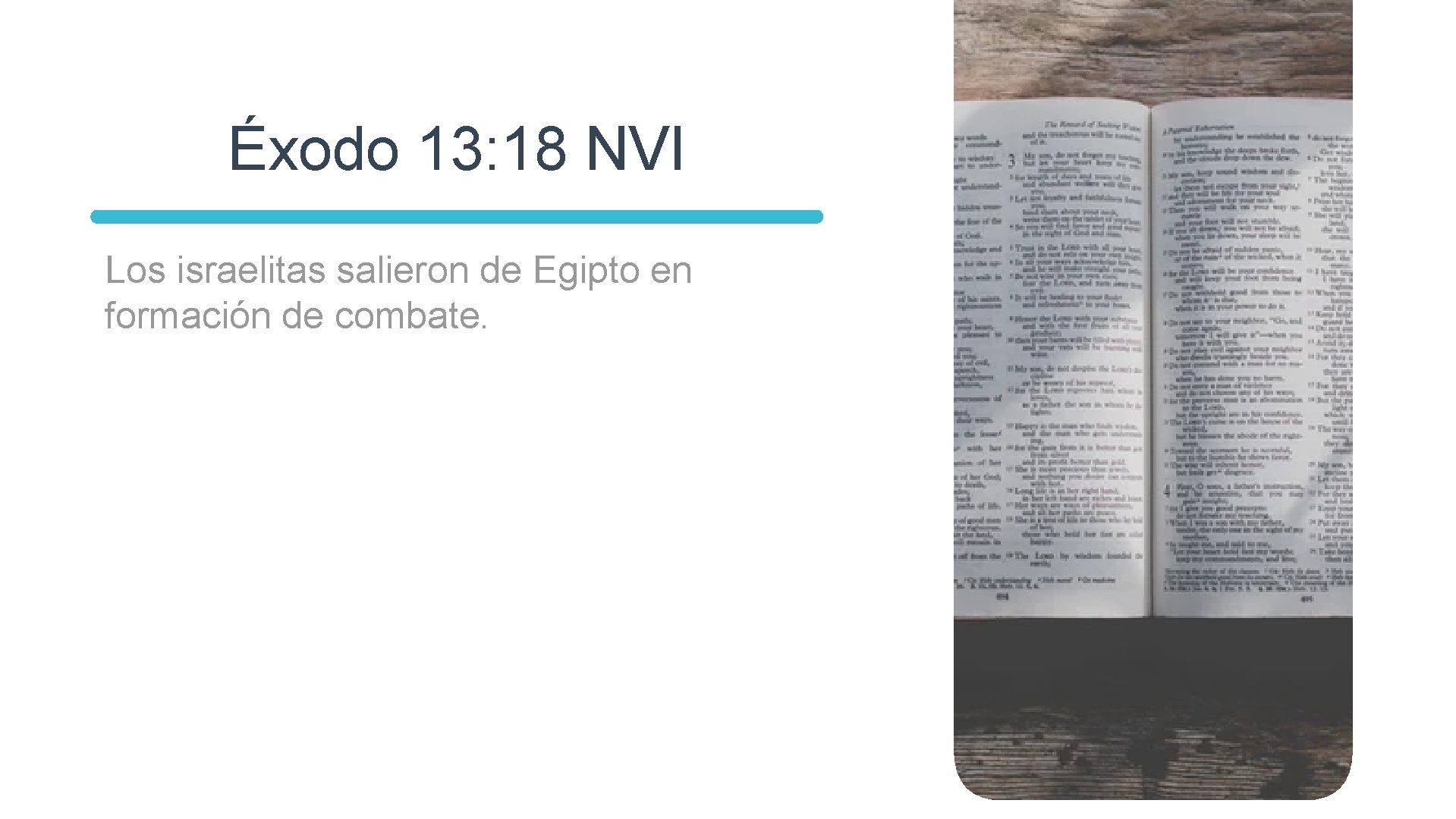 Éxodo 13: 18 NVI Los israelitas salieron de Egipto en formación de combate. 