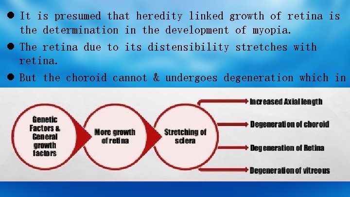 l It is presumed that heredity linked growth of retina is the determination in