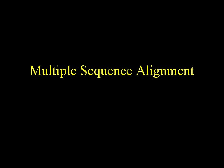 Multiple Sequence Alignment 