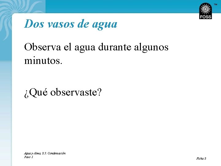 TM Dos vasos de agua Observa el agua durante algunos minutos. ¿Qué observaste? Agua