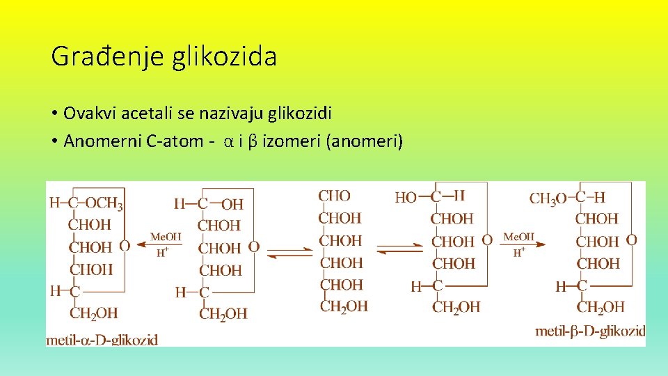 Građenje glikozida • Ovakvi acetali se nazivaju glikozidi • Anomerni C-atom - α i