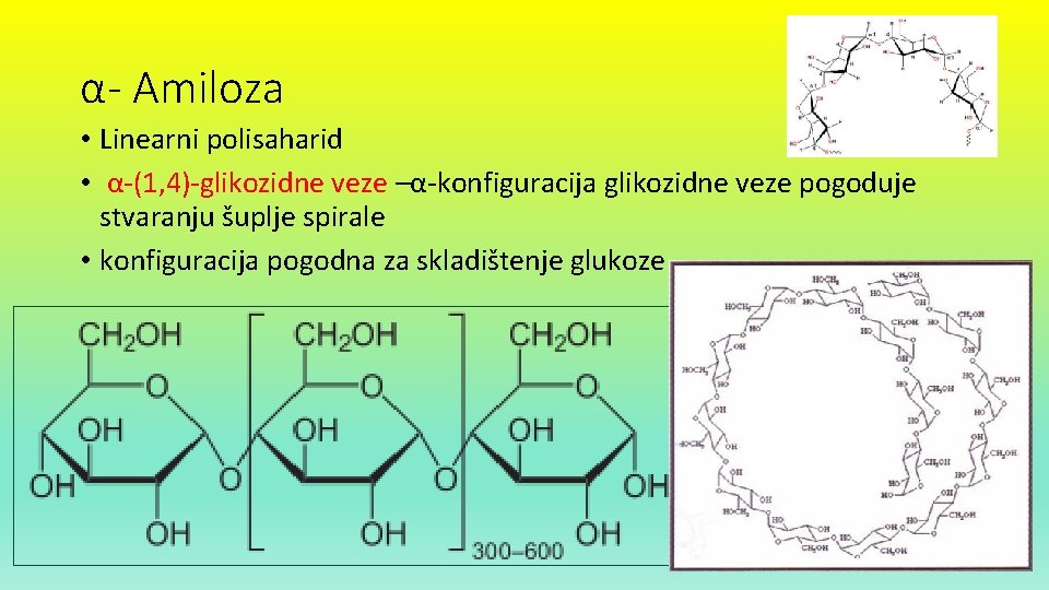 α- Amiloza • Linearni polisaharid • α-(1, 4)-glikozidne veze –α-konfiguracija glikozidne veze pogoduje stvaranju