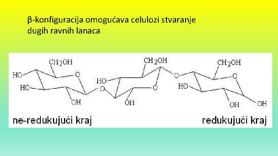 β-konfiguracija omogućava celulozi stvaranje dugih ravnih lanaca 