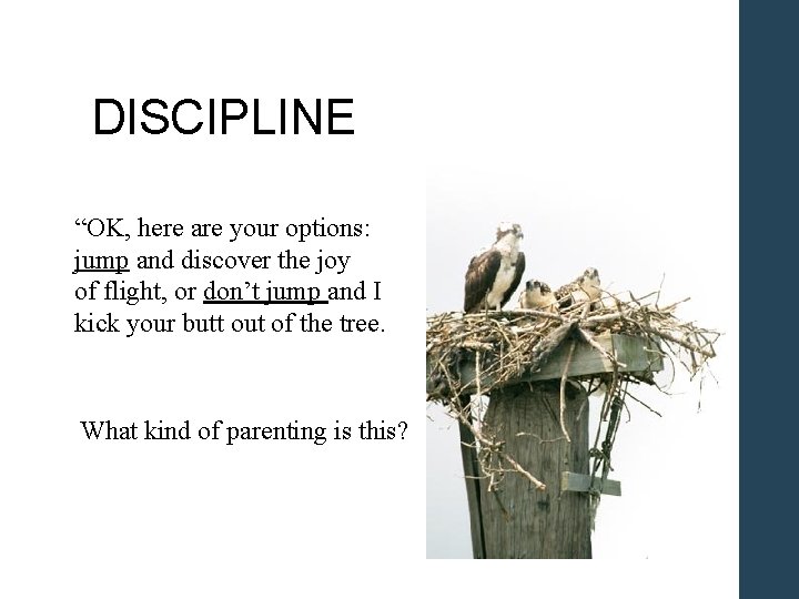 DISCIPLINE “OK, here are your options: jump and discover the joy of flight, or