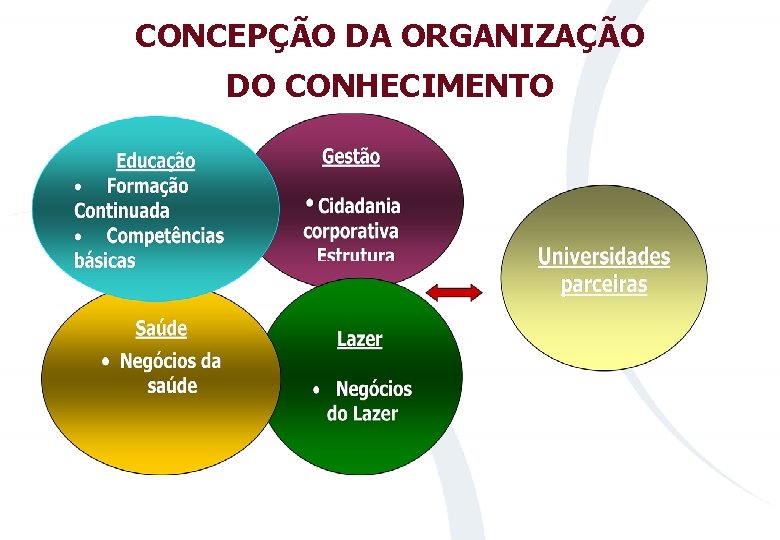 CONCEPÇÃO DA ORGANIZAÇÃO DO CONHECIMENTO 