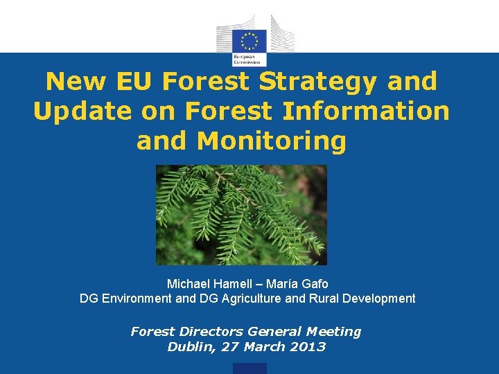 New EU Forest Strategy and Update on Forest Information and Monitoring Michael Hamell –