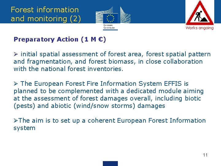 Forest information and monitoring (2) Works ongoing Preparatory Action (1 M €) Ø initial