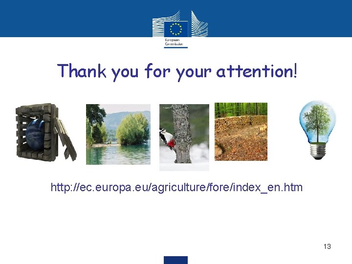 Thank you for your attention! http: //ec. europa. eu/agriculture/fore/index_en. htm 13 