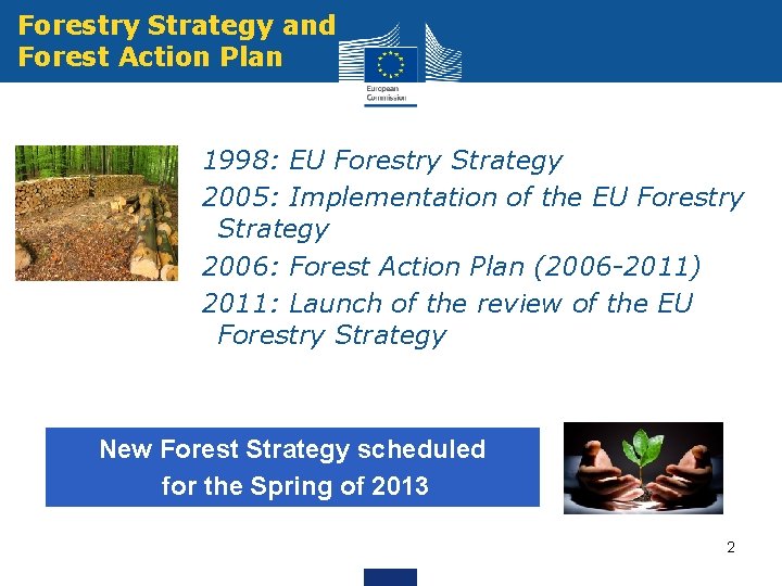 Forestry Strategy and Forest Action Plan 1998: EU Forestry Strategy 2005: Implementation of the