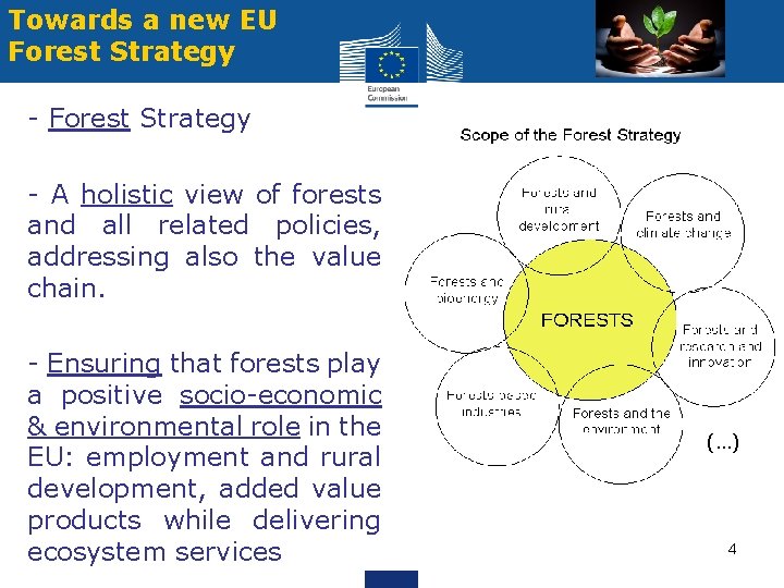 Towards a new EU Forest Strategy - A holistic view of forests and all