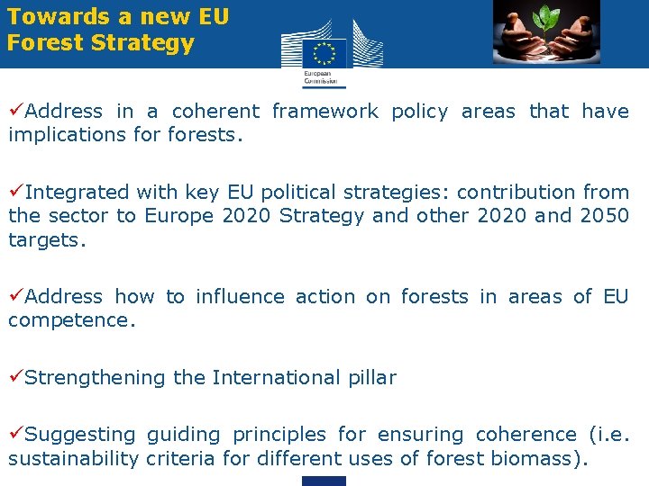 Towards a new EU Forest Strategy üAddress in a coherent framework policy areas that