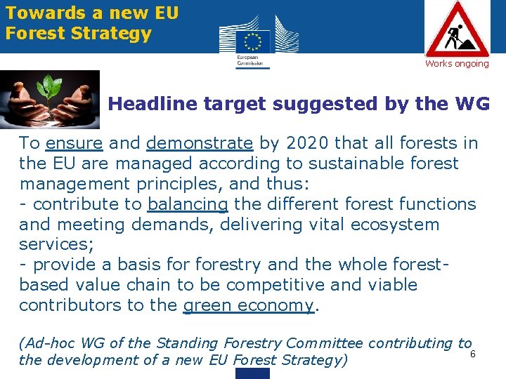 Towards a new EU Forest Strategy Works ongoing Headline target suggested by the WG