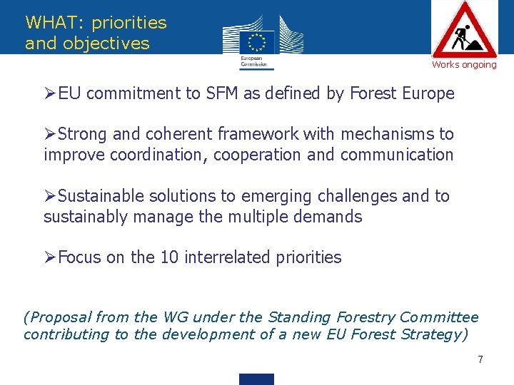 WHAT: priorities and objectives Works ongoing ØEU commitment to SFM as defined by Forest