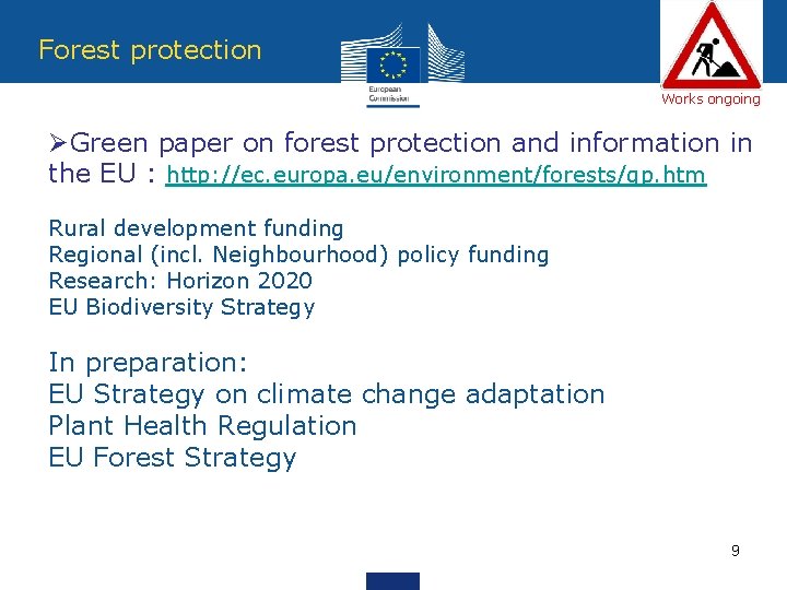 Forest protection Works ongoing ØGreen paper on forest protection and information in the EU