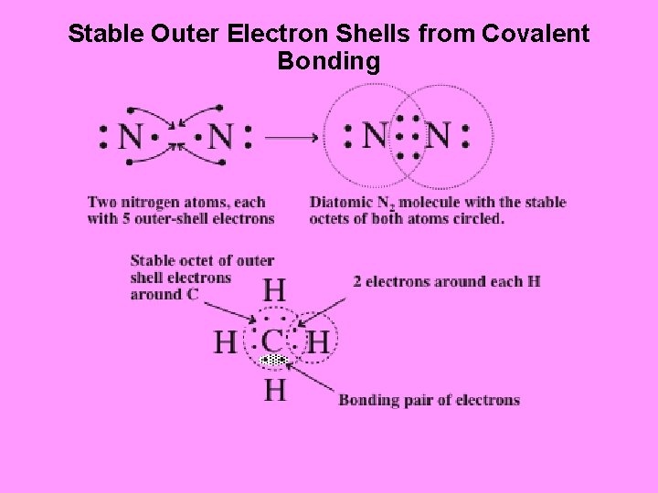 Stable Outer Electron Shells from Covalent Bonding 