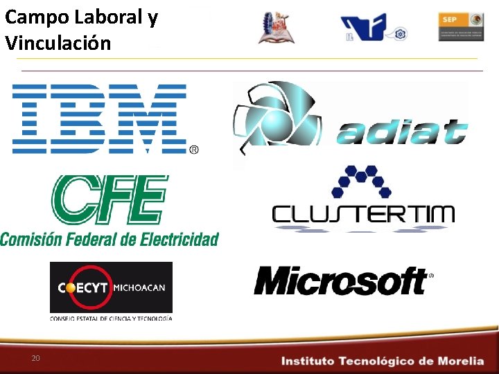 Campo Laboral y Vinculación 20 
