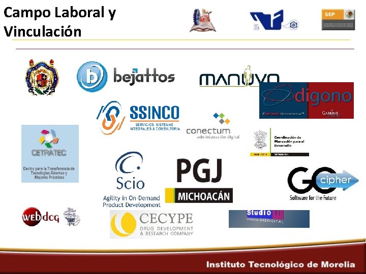 Campo Laboral y Vinculación 