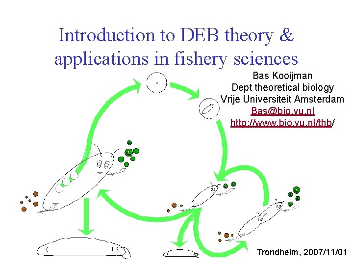 Introduction to DEB theory & applications in fishery sciences Bas Kooijman Dept theoretical biology